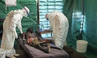 Ebola : mobilisation financière internationale pour aider l’Afrique de l’Ouest