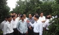 Vu Van Ninh travaille avec les autorités de la province de Hoa Binh