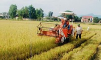 Bac Ninh mise sur la mécanisation de la production agricole