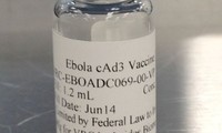 Grande-Bretagne : vaccin expérimental contre Ebola sur le corps humain
