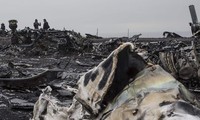 225 victimes du vol MH17 identifiées