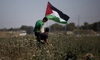 Palestine : Le Hamas et le Fatah reprennent leurs négociations