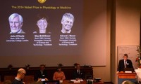Le prix Nobel de médecine attribué à trois chercheurs en neurosciences