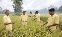 Les Khmers optent pour la restructuration agricole