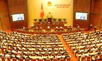 L’Assemblée nationale discute du projet d’amendement de la loi sur  l’investissement 