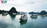 Le Vietnam s’efforce de préserver et de valoriser sa baie d’Halong