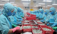 L’OMC publie son jugement sur le procès vietnamo-américain sur les crevettes 