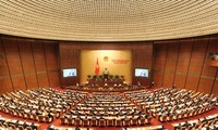 Assemblée nationale : adoption de certains projets de loi