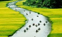 Vietnam: le tableau culturel de 2014