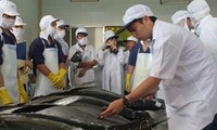 Le Vietnam plaide pour l’exportation du thon vers le Japon