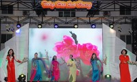 La communauté vietnamienne à l’étranger fête le Nouvel An lunaire