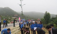 L’union de la jeunesse communiste Ho Chi Minh pour la fête de plantation d’arbres