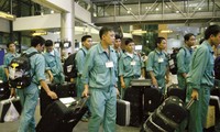 17 mille Vietnamiens sont partis travailler à l’étranger depuis janvier 2015