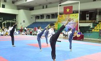 Le Vietnam remporte le Championnat de teakwondo d’Asie du Sud-Est 2015