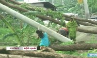 Des orages tuent au moins 37 personnes au Bangladesh