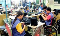 Activités à l’occasion de la 35e journée des handicapés vietnamiens