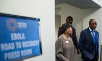 Les pays touchés par Ebola réclament un plan de 8 milliards de dollars