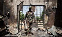 Nigeria: l'armée revendique de nouveaux succès face à Boko Haram