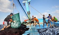 Malgré l’interdiction de Pékin, les pêcheurs vietnamiens continuent d’exercer