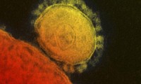 Hanoi prend des mesures contre le coronavirus MERS