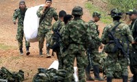 Colombie: une commission de la vérité pour consolider la paix