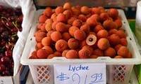 L’exportation du litchi ouvre la voie aux autres fruits vietnamiens