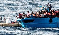 Italie : douze immigrés récupérés morts, plus de 800 sauvés