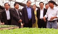Nguyen Thien Nhan à Lam Dong pour parler du développement des cooperatives
