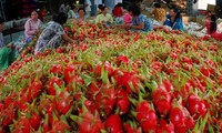 La Chine se tient prête à ouvrir son marché aux produits agricoles vietnamiens