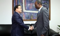 Le vice-Premier ministre Hoang Trung Hai au Mozambique