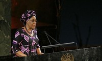 Le Nigeria assume la présidence du Conseil de sécurité de l’ONU 