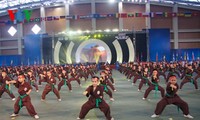 Clôture du 1er championnat international des arts martiaux vietnamiens