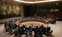 Le Conseil de sécurité de l'ONU soutient un nouveau plan pour la paix en Syrie
