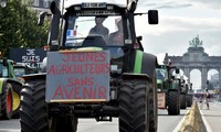 Crise agricole: Bruxelles débloque 500 millions d’euros d’aide