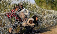 L'ONU insiste sur l'accueil des réfugiés 