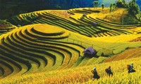 Semaine culturelle des rizières en terrasse de Mu Cang Chai