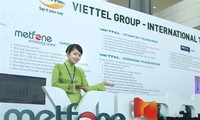 Investissements vietnamiens à l’étranger: une tendance qui s’amplifie