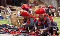 Le Vietnam atteint avant terme 5 des OMD