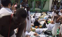 Bousculade à La Mecque : 717 pèlerins tués et 863 blessés