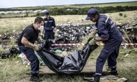 Pays-Bas: de nouveaux restes de victimes du MH17 ont été retrouvés 