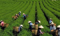 Vietnam-Inde: pour une coopération agricole accrue
