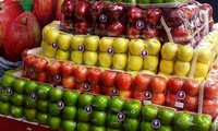 Signature d’un accord d’exportation des pommes polonaises vers le Vietnam