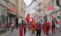 Journée de la culture vietnamienne à Brno (République tchèque)