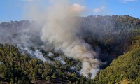 Indonésie : Une coalition internationale pour lutter contre les feux de forêt 