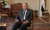 La Russie et l’Egypte à la recherche d’une issue en Syrie