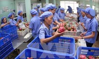 Renforcer la coopération agricole Vietnam - Ukraine