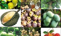 Fruits exotiques du Sud Vietnam
