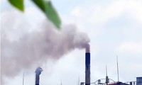 Le Vietnam se prépare à la création d’un marché du carbone