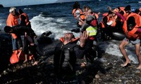 Migrants: au moins 7 morts et de dizaines de disparus entre Turquie et Grèce