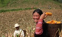 Pauvreté : le Vietnam opère un changement de politique radical